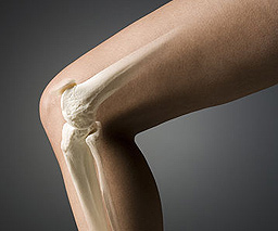Артроз коленного сустава: причины
