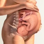 Правильная диагностика и эффективное лечение геморроя при беременности