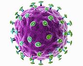 Все о хроническом гепатите разных видов. Каковы его симптомы способы лечения