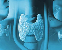 Что необходимо знать о гипотрофии щитовидной железы?
