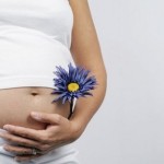 Как протекает беременность после трансплантации почки?