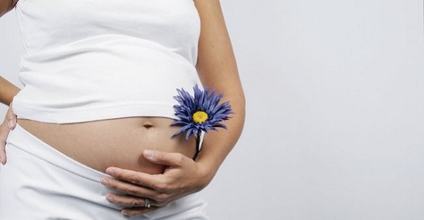 Как протекает беременность после трансплантации почки?