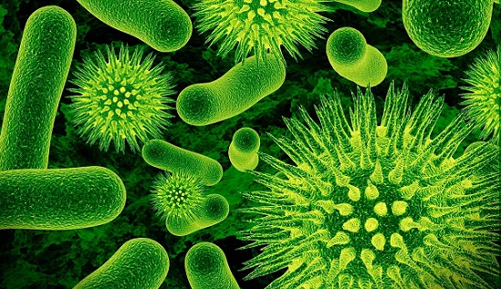 10 научных фактов о вирусах