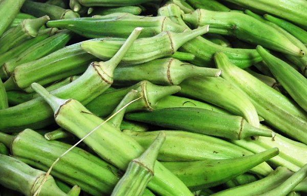 Бамия: уникальные свойства питательных зеленых плодов
