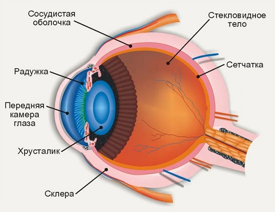Ангиопатия сетчатки глаза: клиника, причины