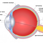 Причины, симптомы и лечение ангиопатии сетчатки глаза
