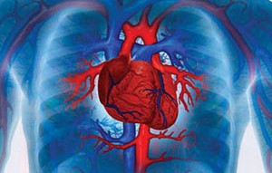 Сердечная астма: симптомы