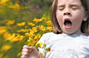 Как и чем лечить аллергический бронхит у детей?