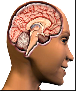 Симптомы болезни головного мозга