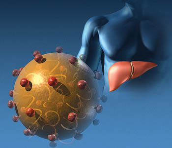 Особенности гепатита печени от причин появления до лечения