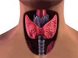 проблема с щитовидкой