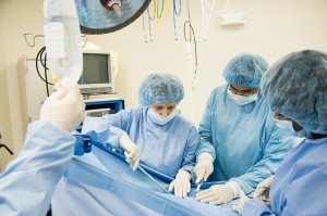Нефрэктомия, показания к операции и последствия удаления почки