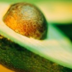 Экзотический фрукт — авокадо: в чем его польза?